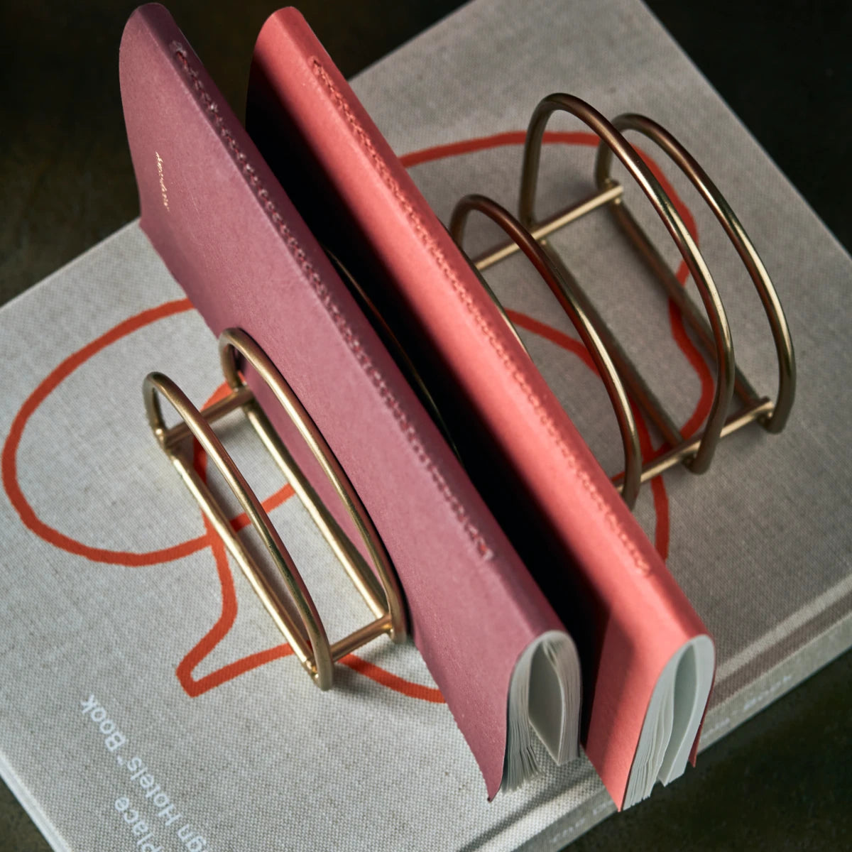 Document organizer, HDPampi