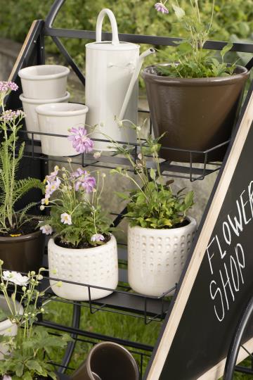 Skjuler Halfdan konisk mocca koldmalet