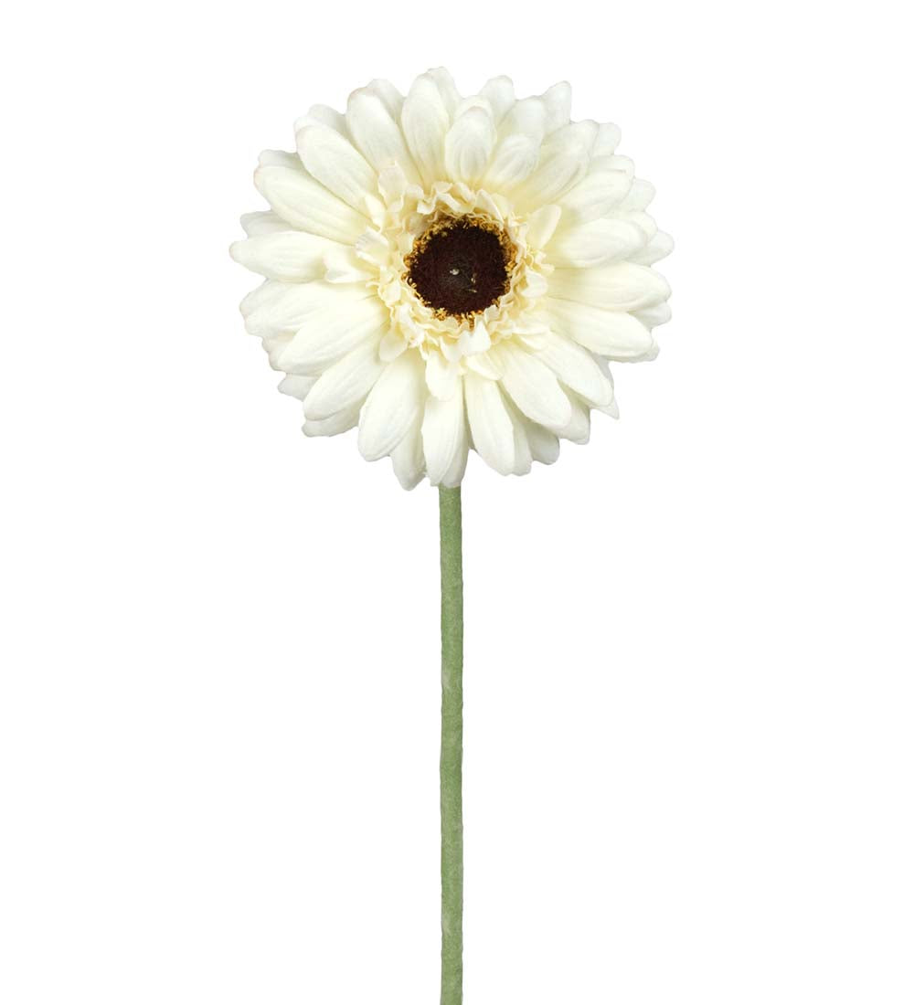Gerbera 55 cm. ø.10cm hvid