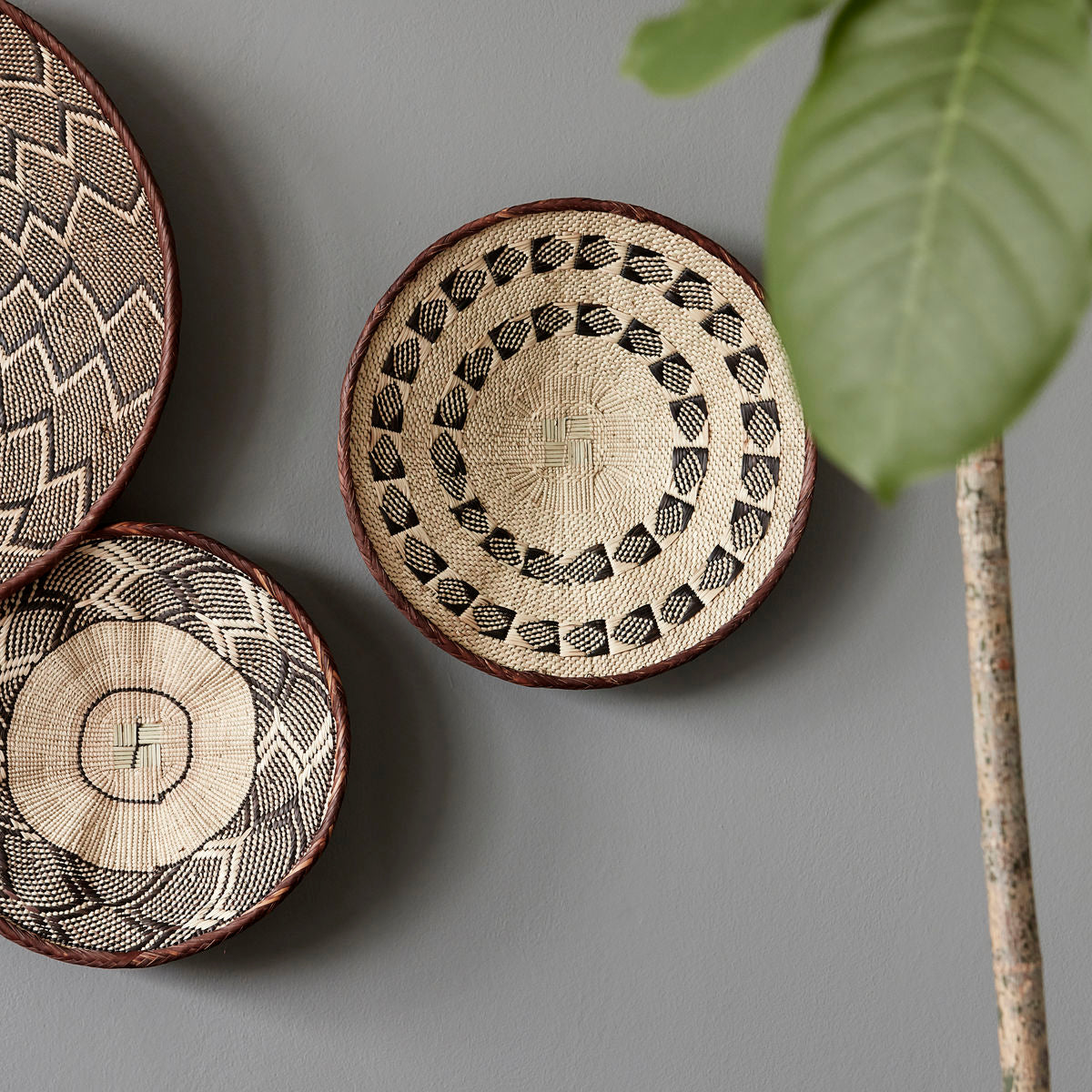 Basket, HDTonga, Nature 2