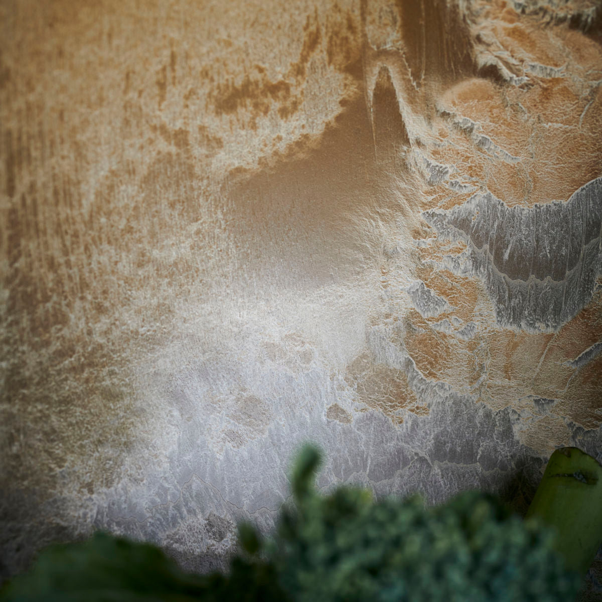 Bowl, HDServeur, Gold