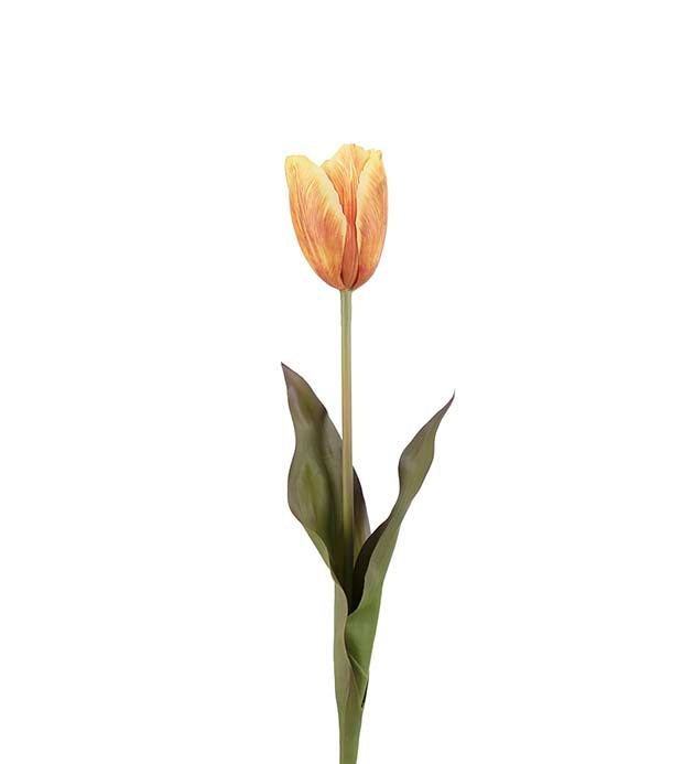 Tulipan "Real Touch" 58 cm orange