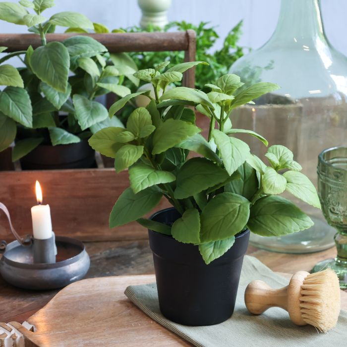 Fleur mynte h25/ø23