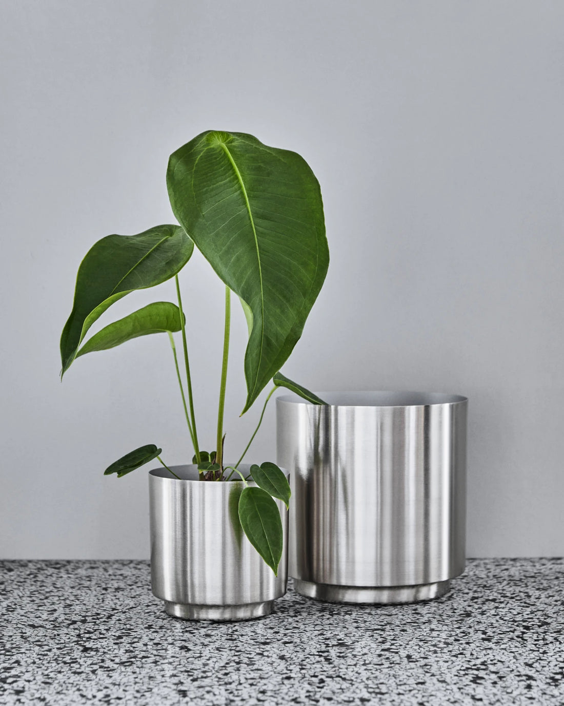 Planter, HDBailey, Silver finish stórur