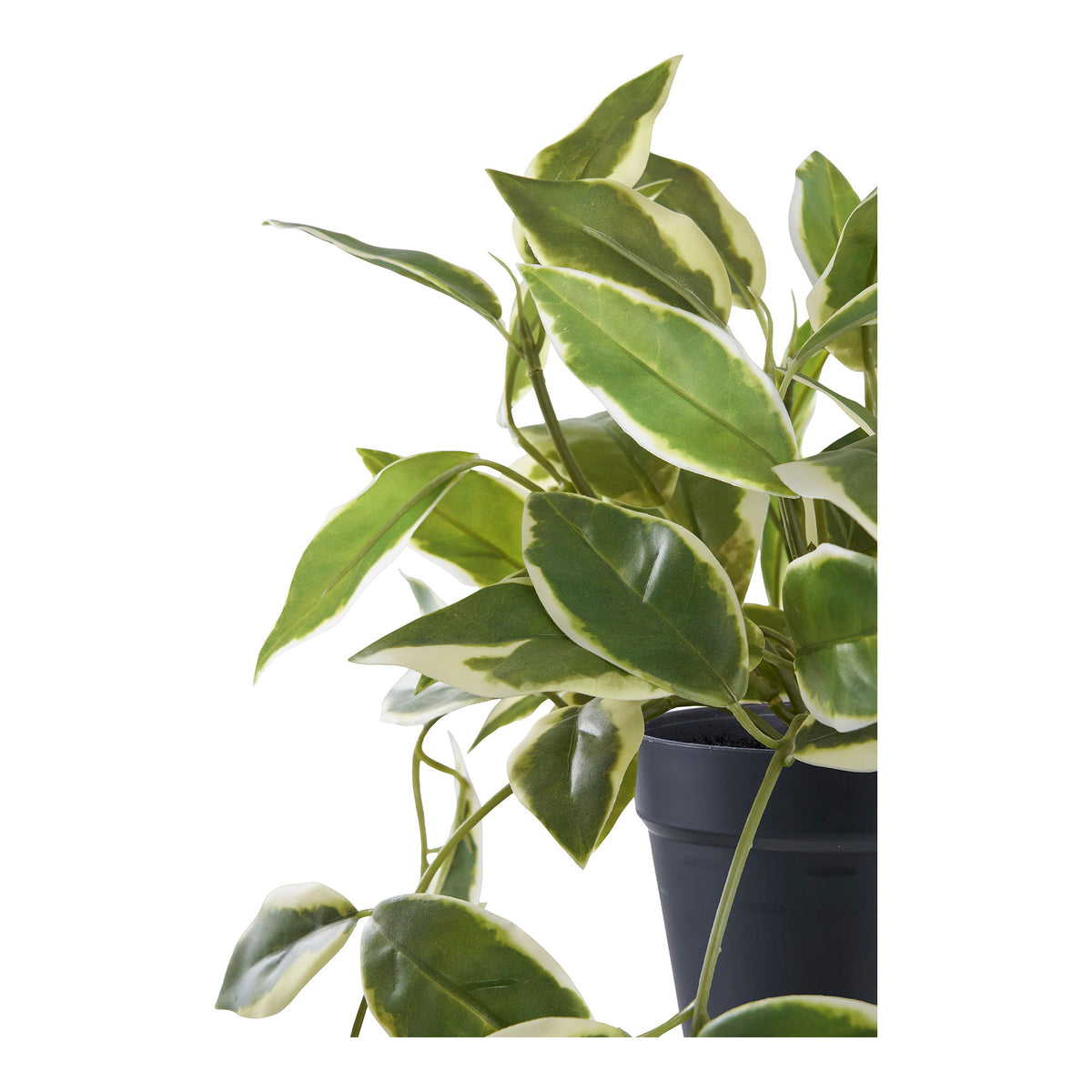 Hoya Carnosa, artificial plant, green, H:33cm