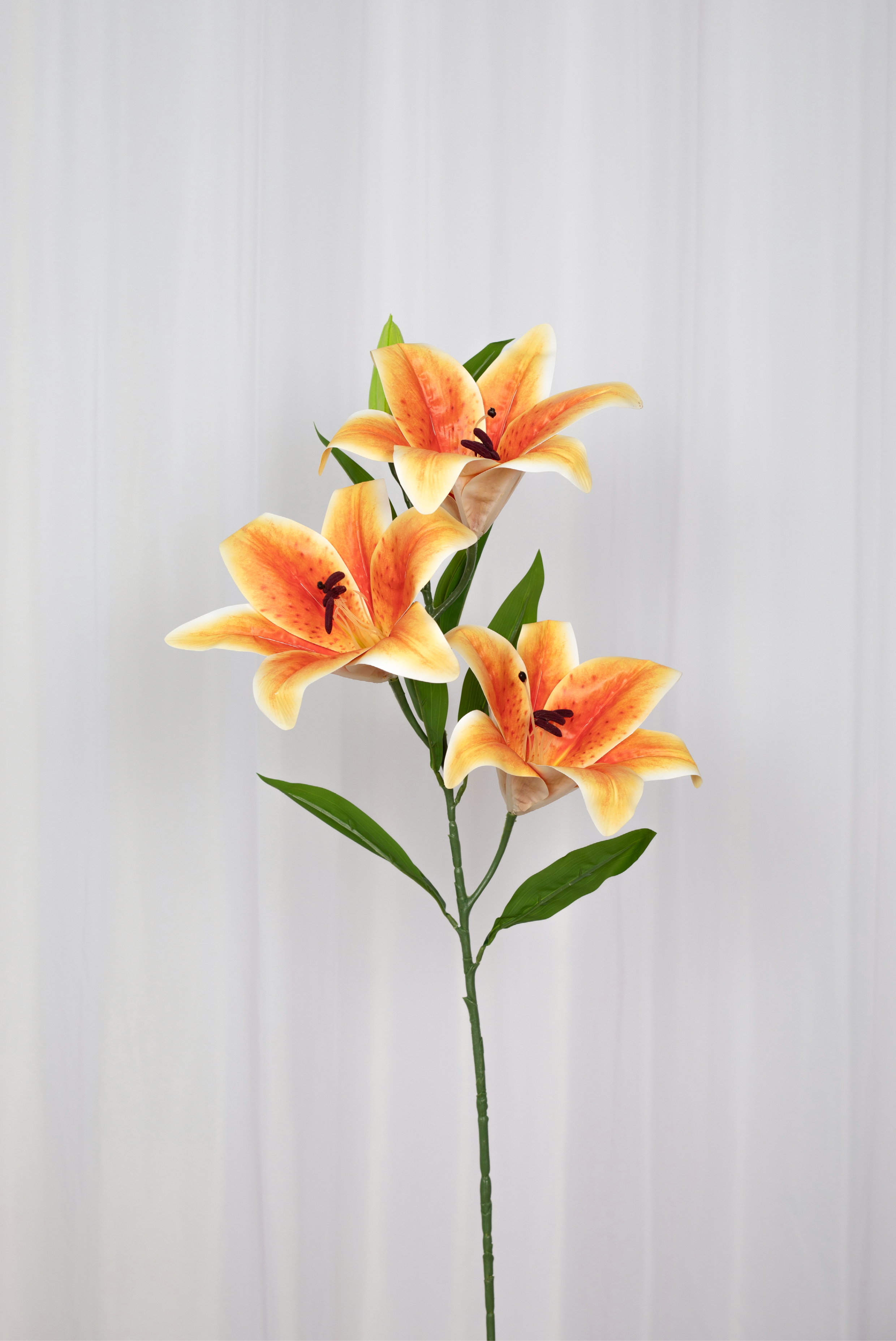 Lily large amber