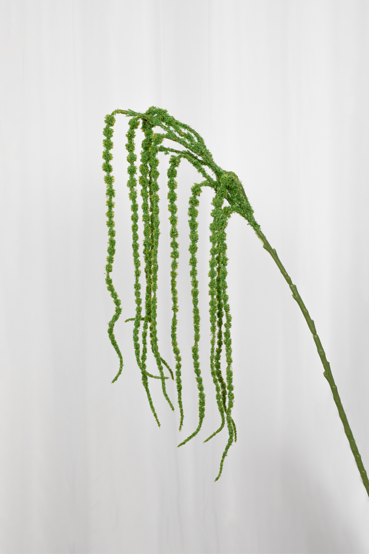 Hanging branch no. 1 green