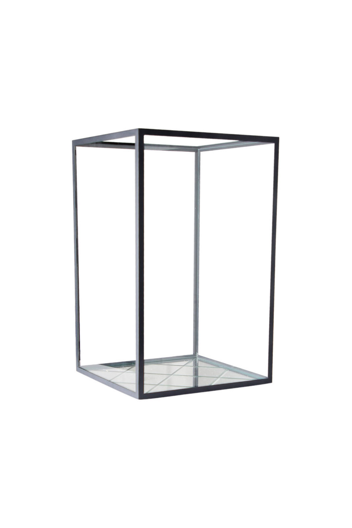 Harlequin Lanterne medium