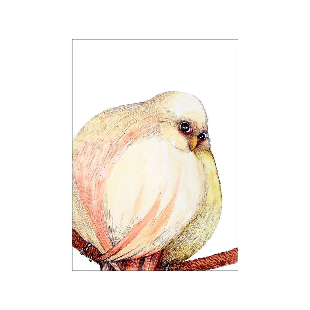 Bright Bird - 30 x 40 cm