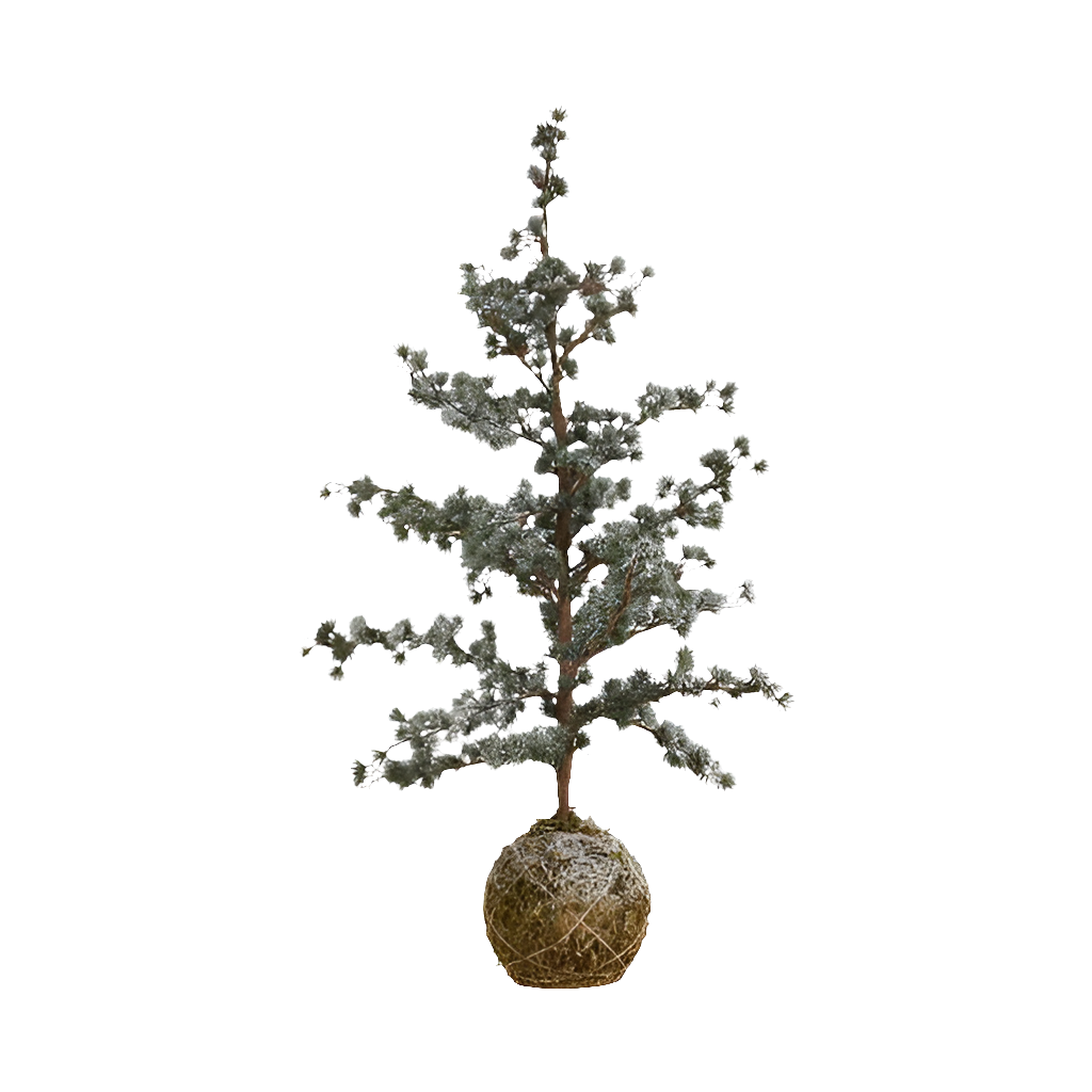 Cedertræ / moskugle 200 cm grøn / Is