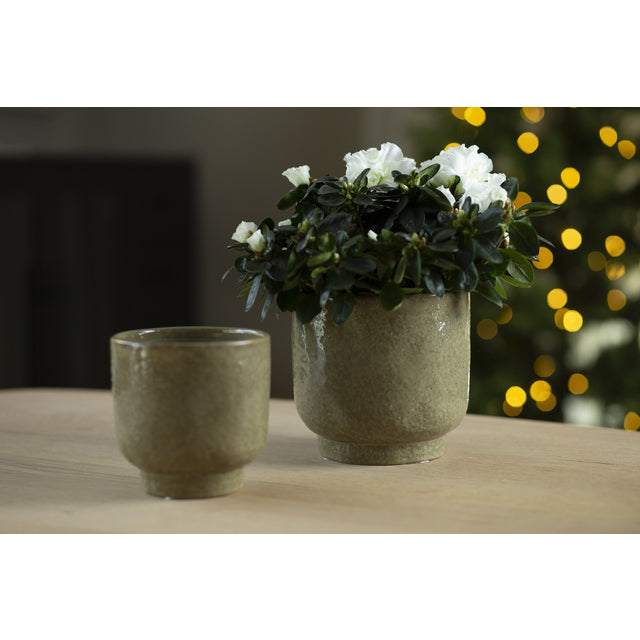 CLAUS Potte s/2 D13,5/16,8 H13/15,5 cm green 12/15