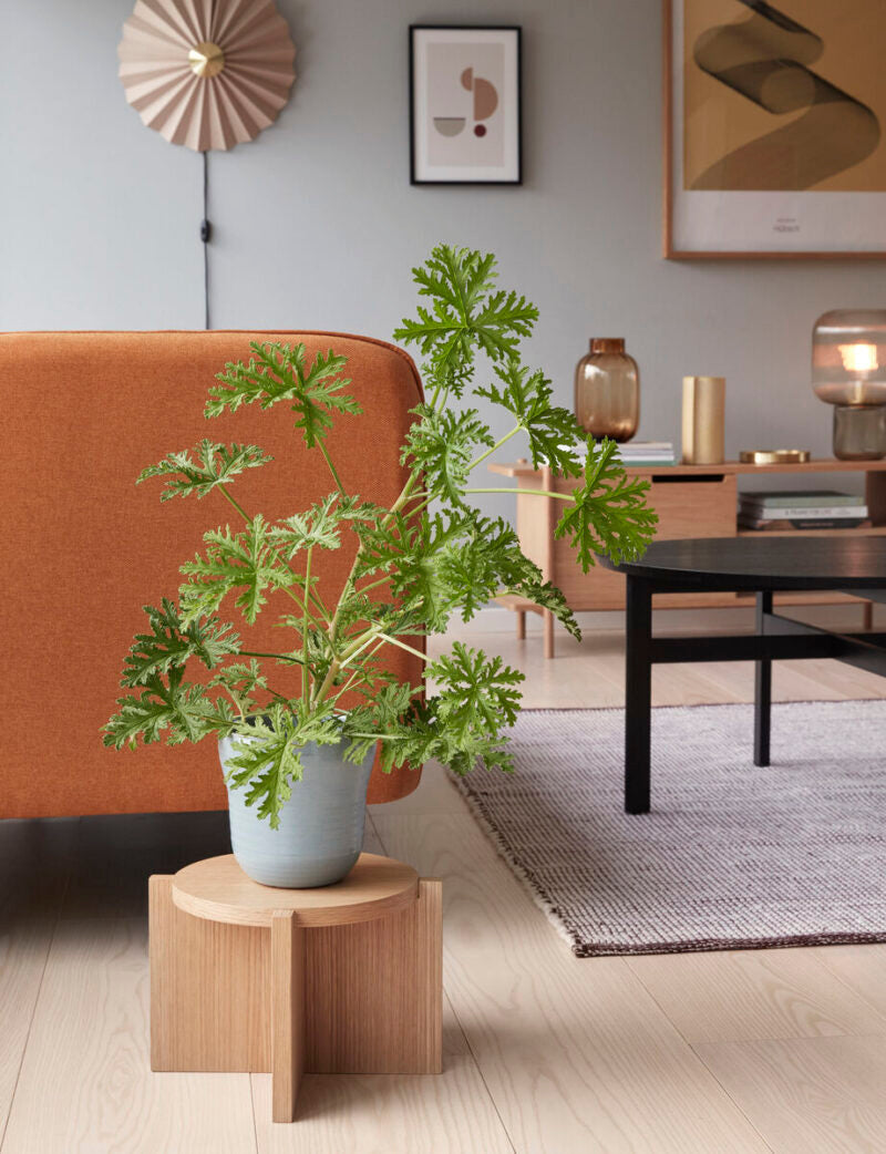 Pliss Wall light beige