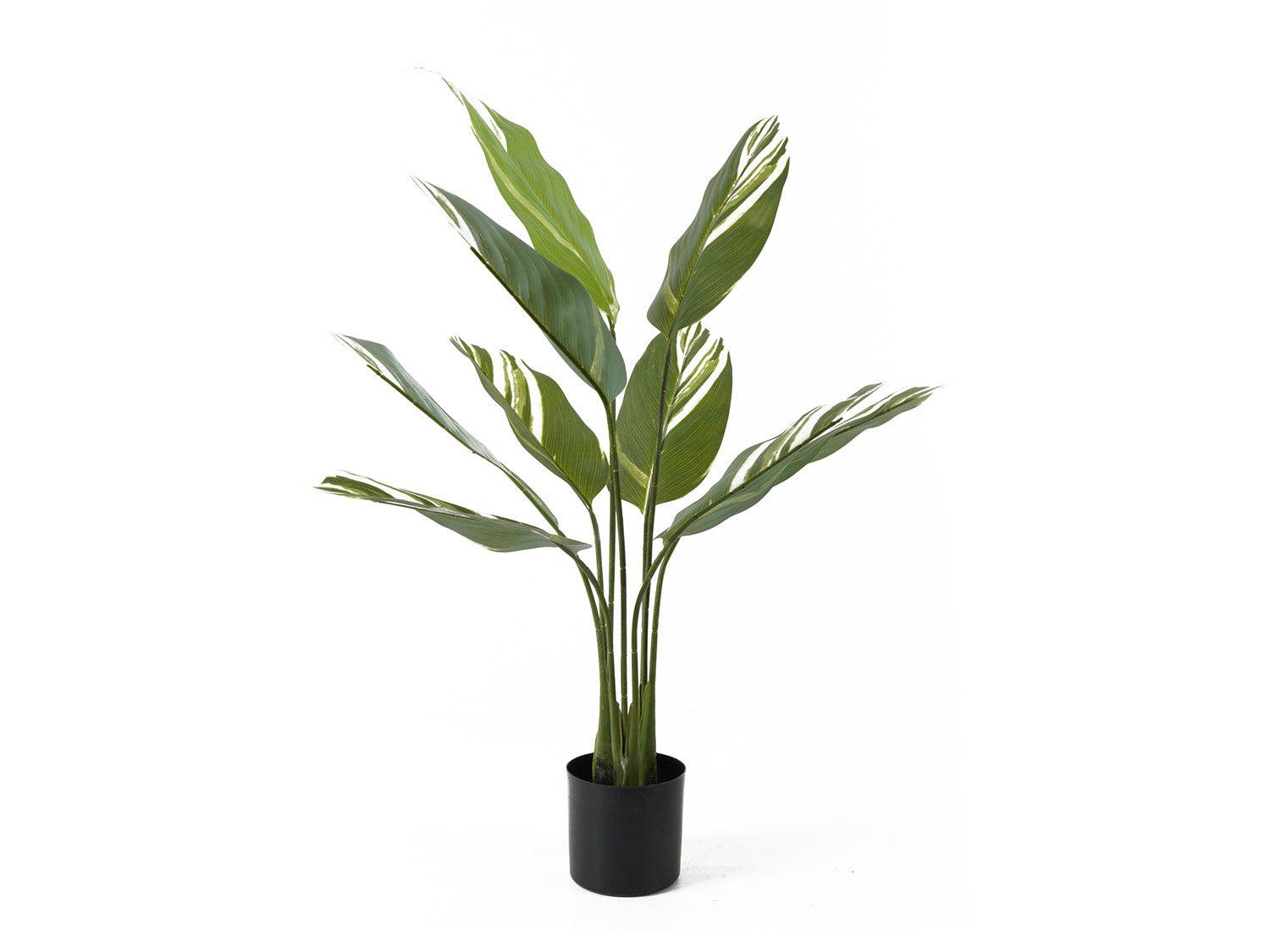 Artificial plant calathea green