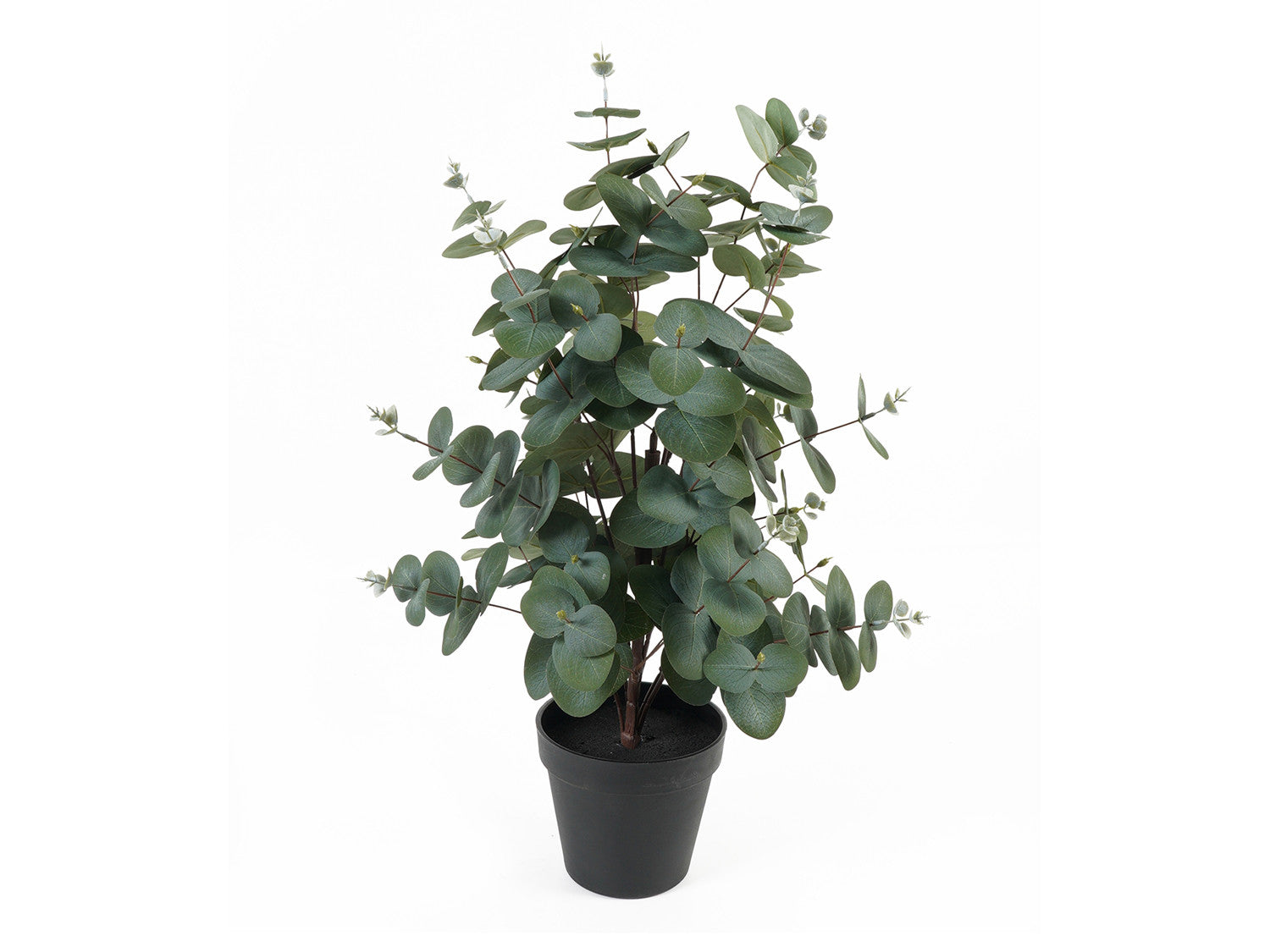 Artificial plant eucalyptus leaf green
