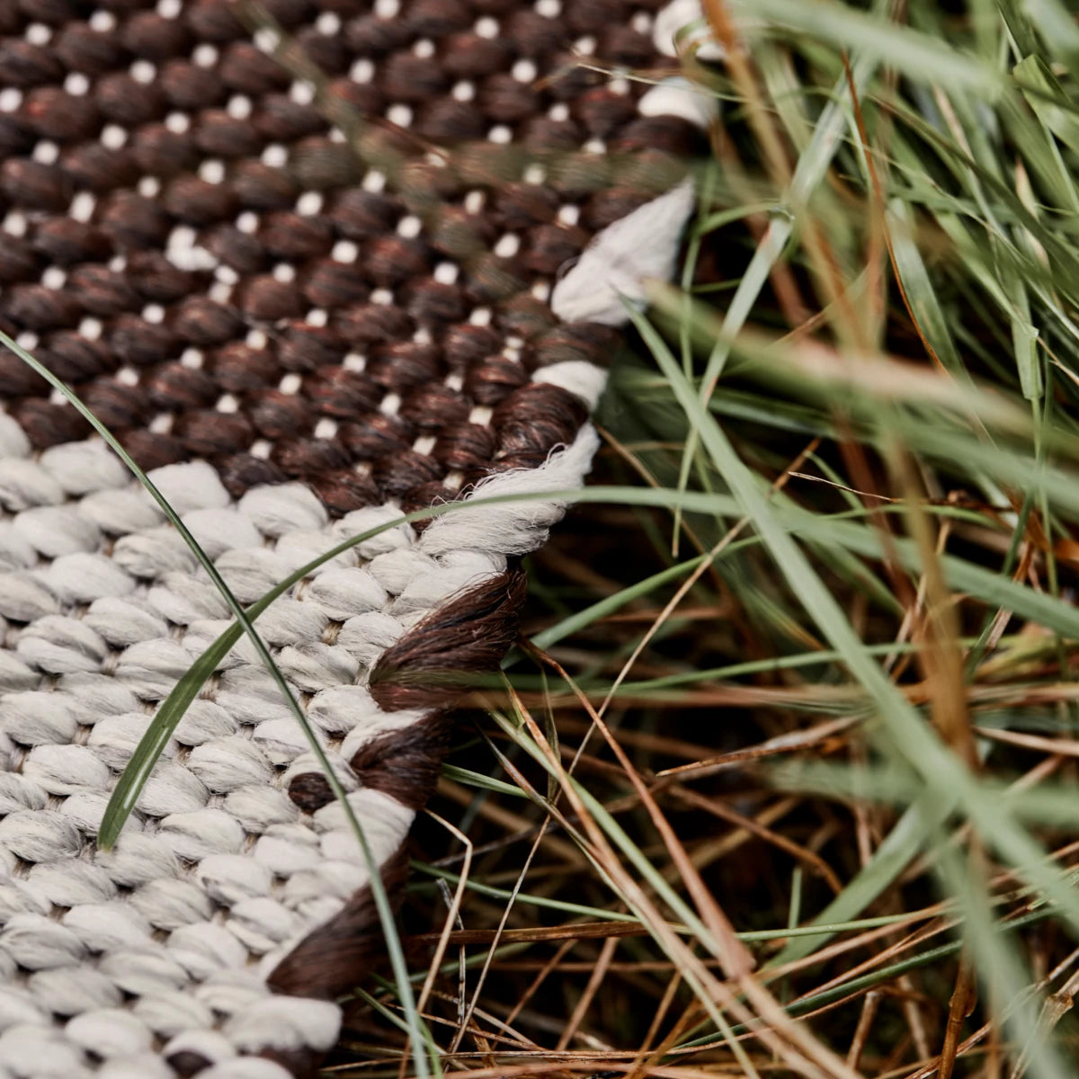 Rug, HDAlfo, brown, nature