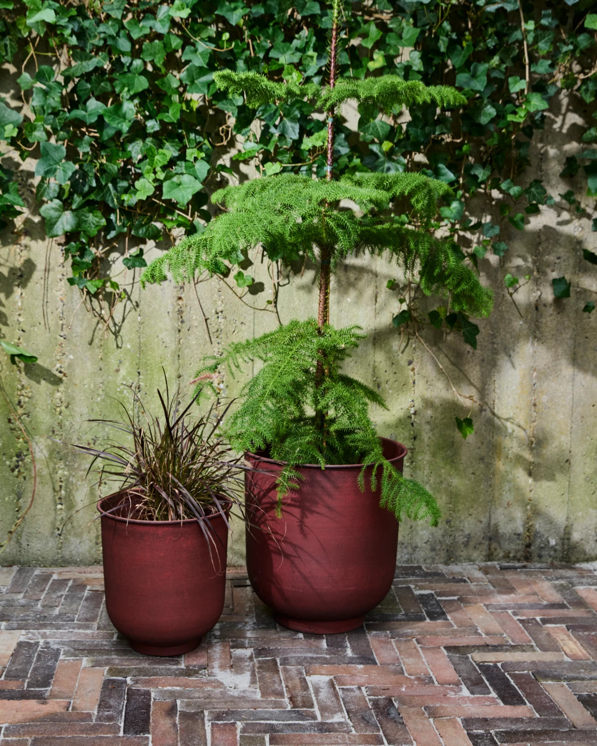 Planter, HDVig, Burnt henna