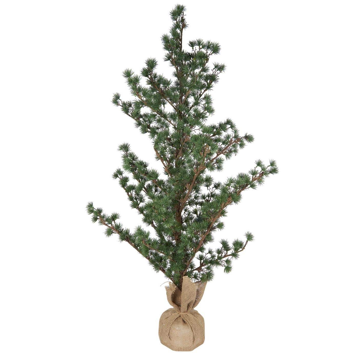 Cedertræ m/jutefod