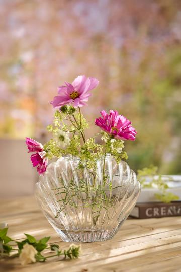 Muslingevase klart glas