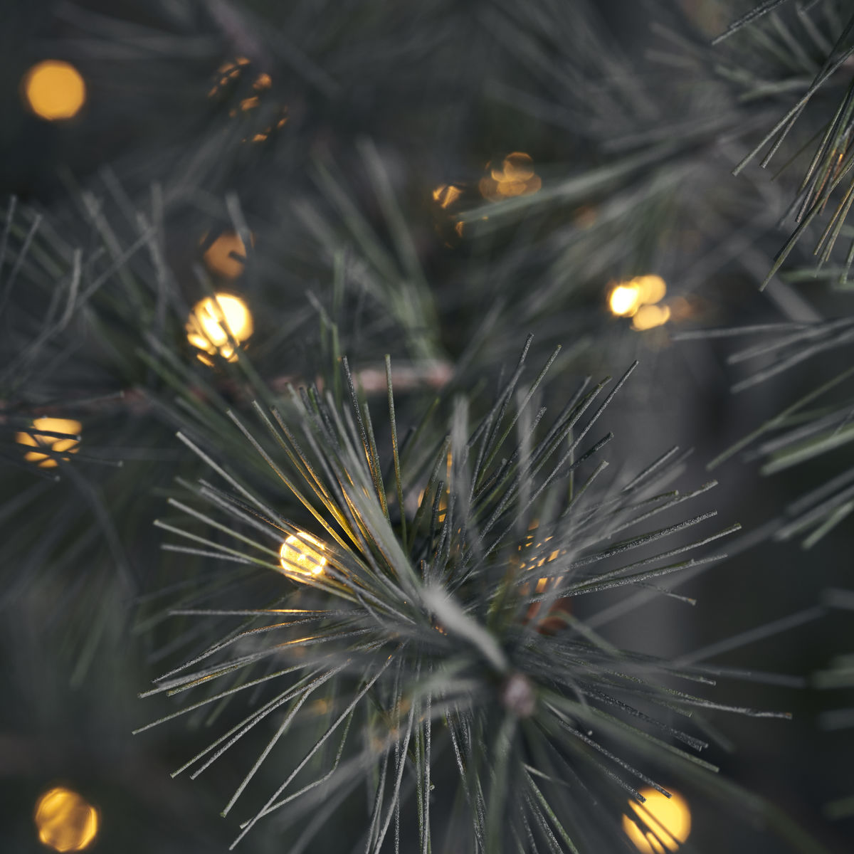 Christmas tree w. LED Pin, Nature