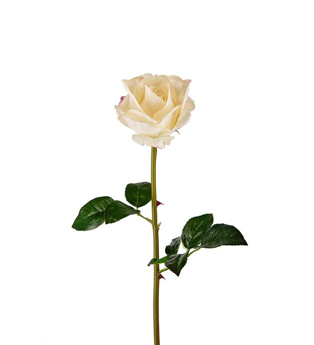 Ros 1