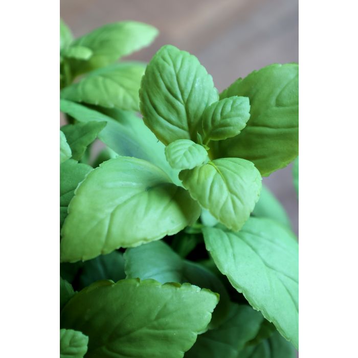 Fleur mynte h25/ø23