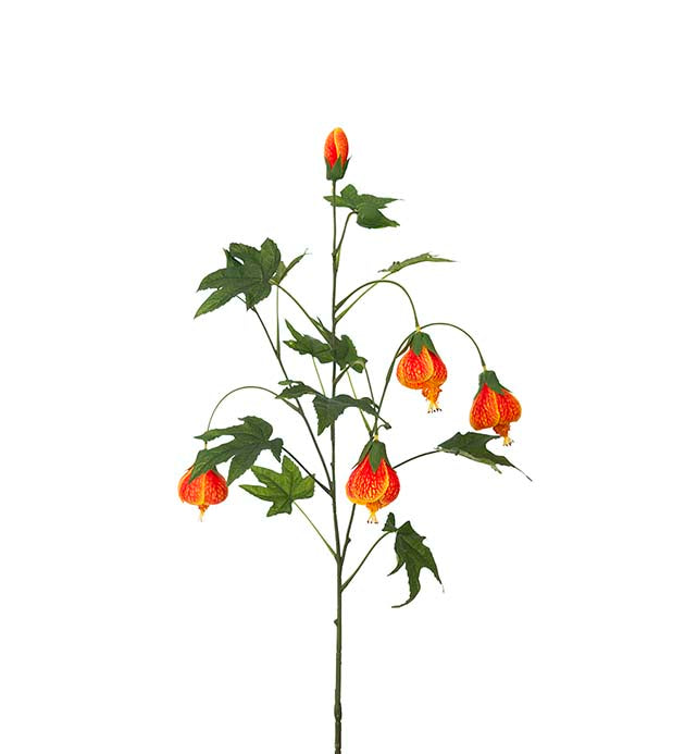 Blomsterlonn 5
