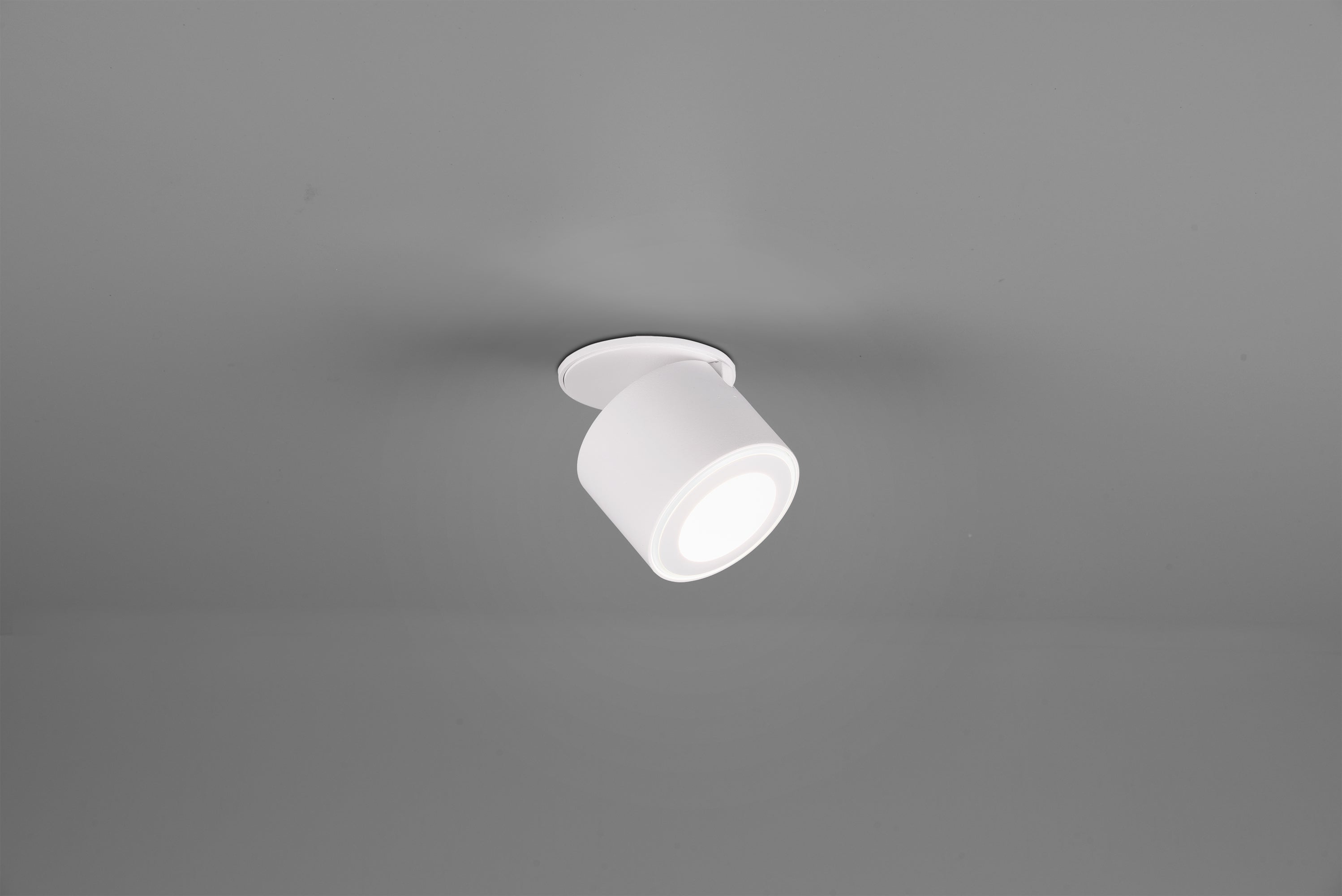 Trio ceiling lamp Taurus