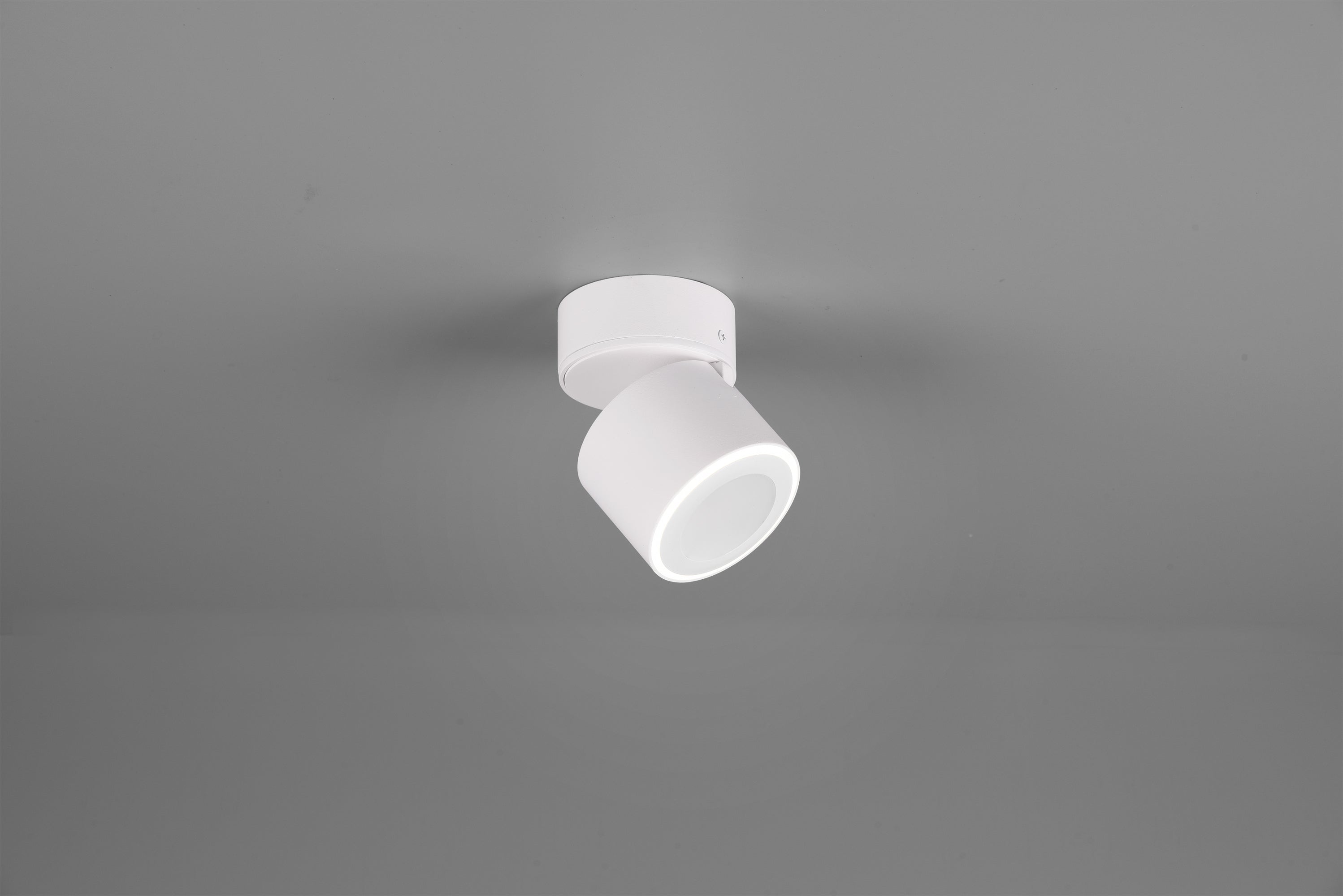 Trio ceiling lamp Taurus