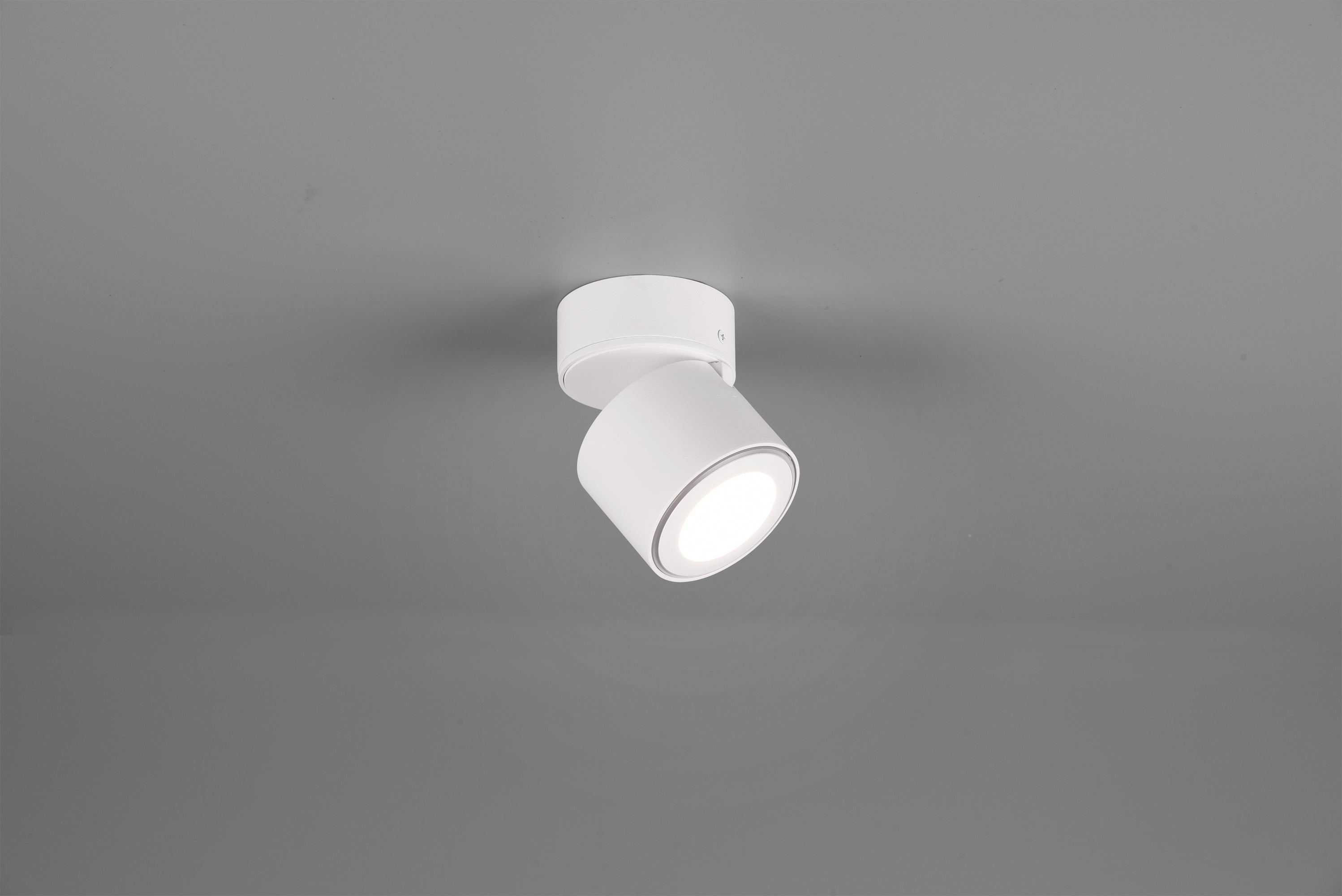 Trio ceiling lamp Taurus