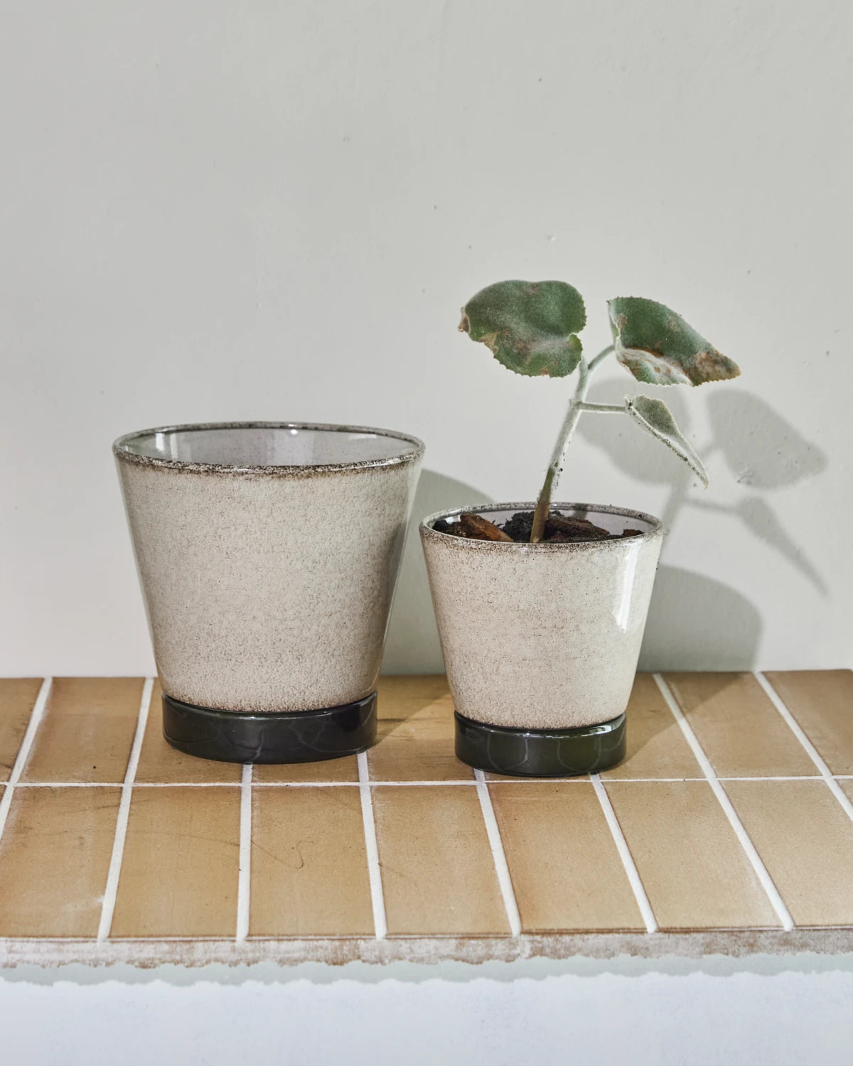 Planter, HDLima, Beige, Green stórur