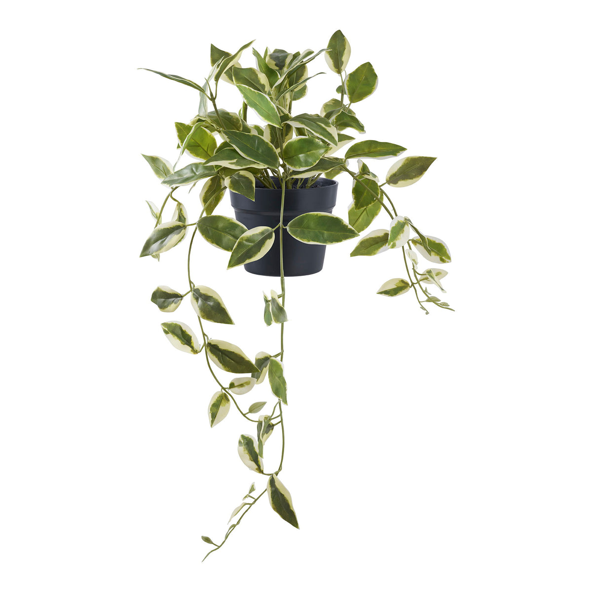 Hoya Carnosa, artificial plant, green, H:33cm