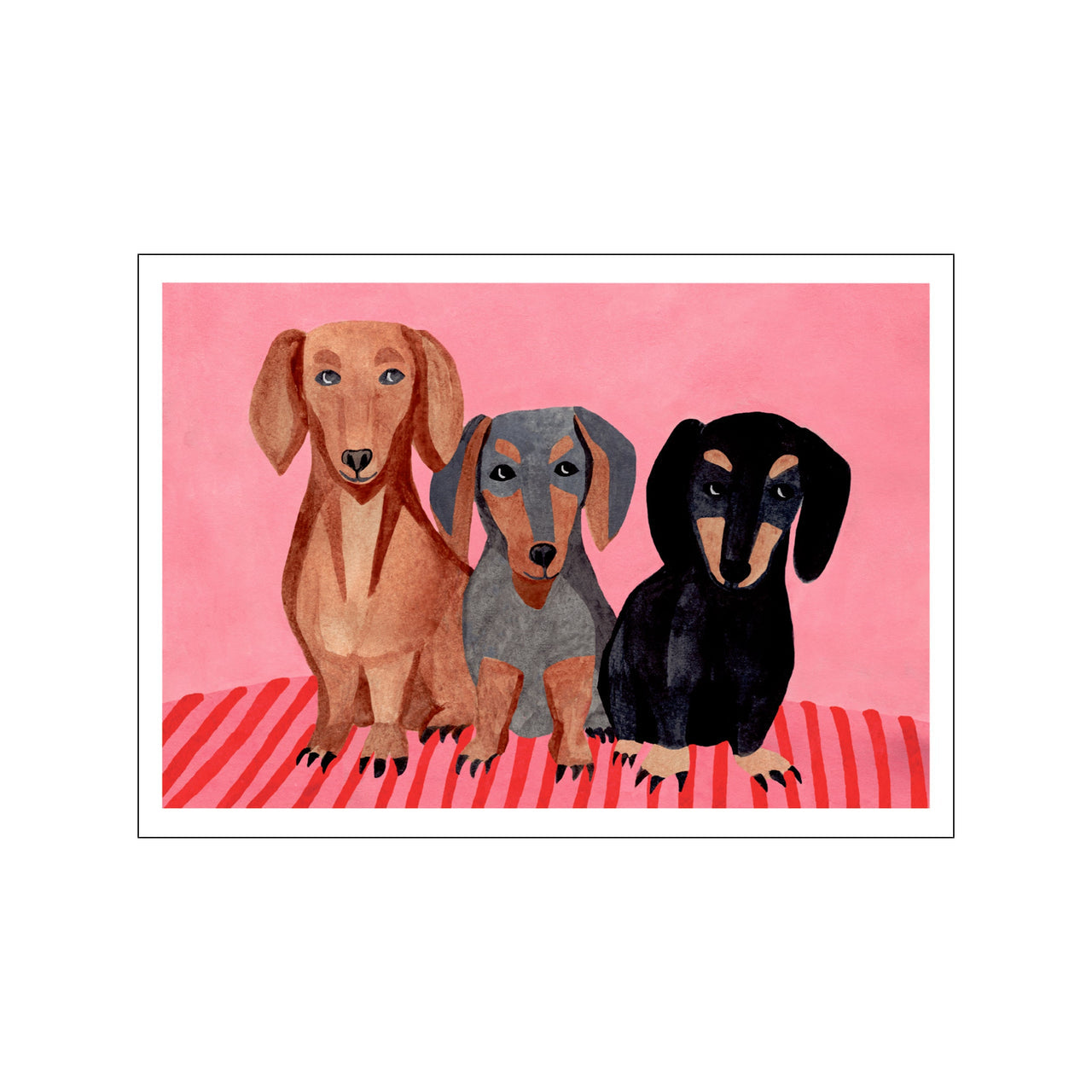 Dachshunds - 30 x 40 cm