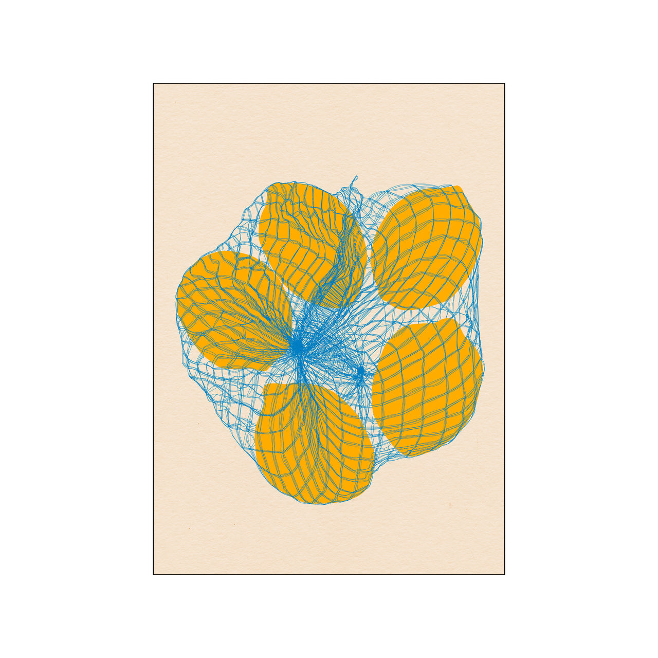 Five lemons in a net bag 30x40