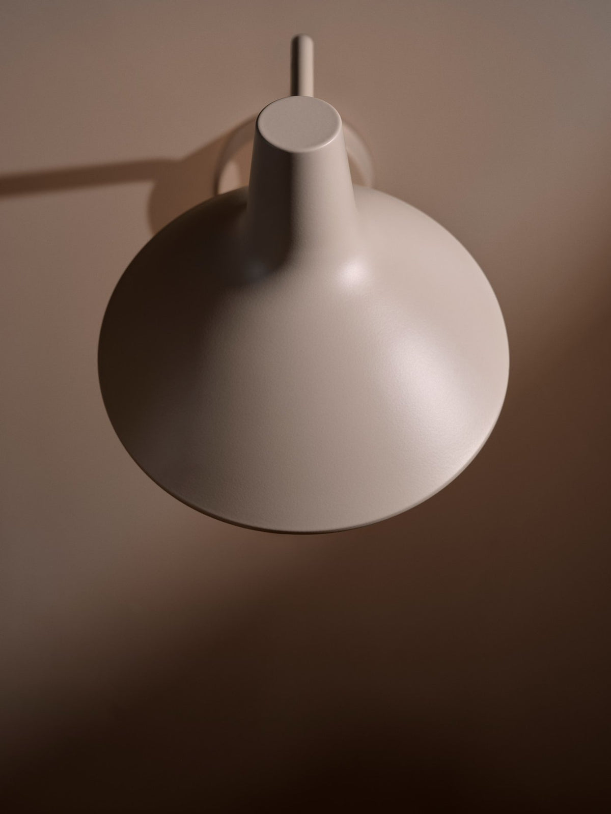 Darci